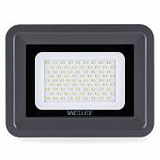   Wolta WFL-100W/06 5500K 100  SMD IP65 8500 