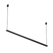 Points Elasity 3000 52 36