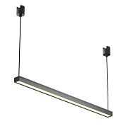 Basis Elasity 3000 26 120